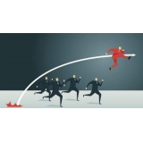 长岛如何避免网站关键词相互SEO竞争